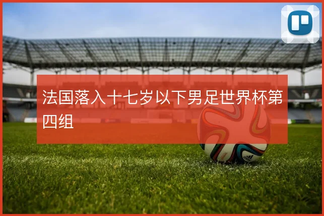 法国落入十七岁以下男足世界杯第四组